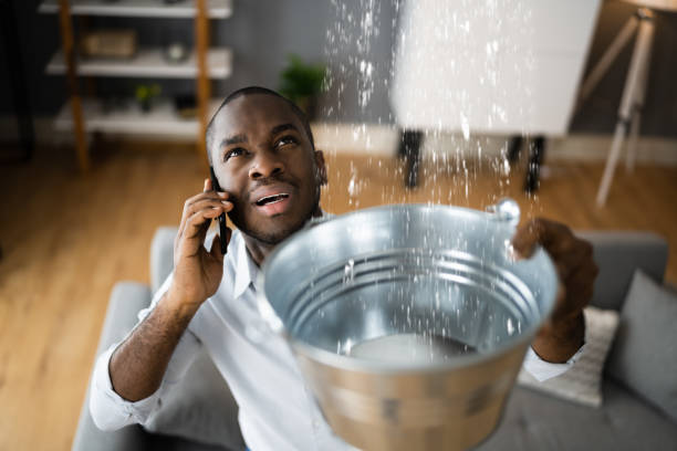 Best Water damage restoration cost  in Brownlee Park, MI
