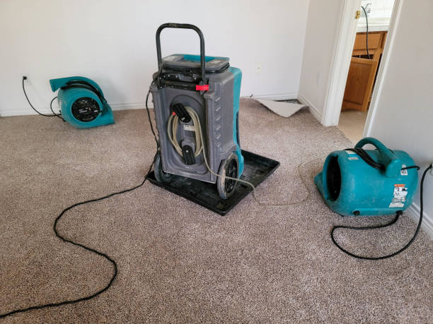 Best Carpet water damage restoration  in Brownlee Park, MI