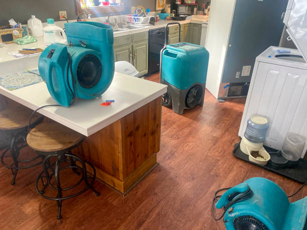 Best Water damage cleanup near me  in Brownlee Park, MI