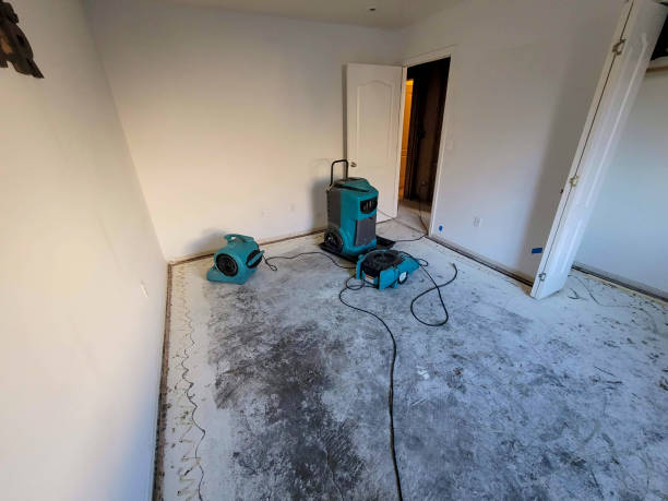 Best Flooded house restoration  in Brownlee Park, MI