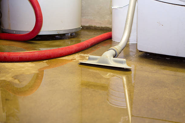 Best Water damage mitigation services  in Brownlee Park, MI