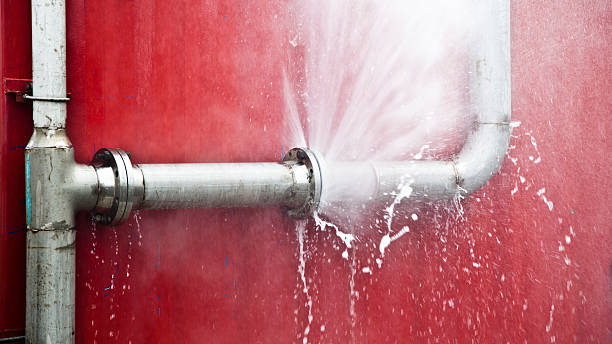 Best Commercial water damage restoration  in Brownlee Park, MI